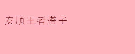 安顺王者搭子