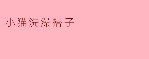小猫洗澡搭子