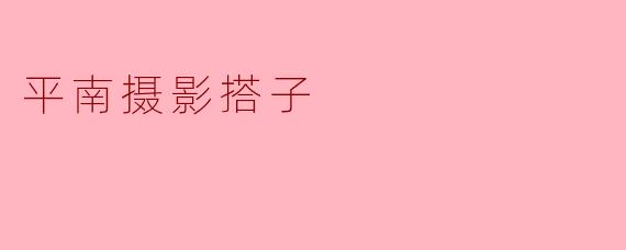平南摄影搭子