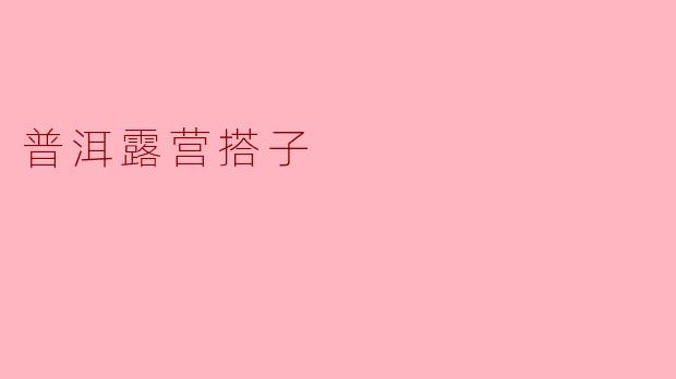 普洱露营搭子