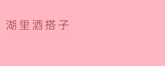 湖里酒搭子