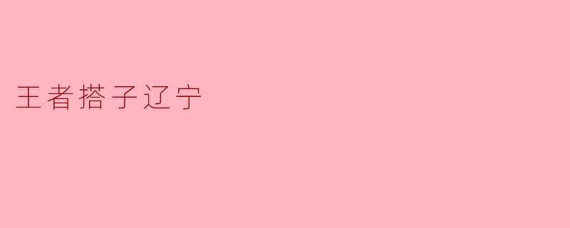 王者搭子辽宁