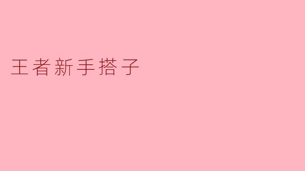 王者新手搭子