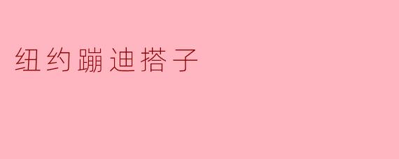 纽约蹦迪搭子