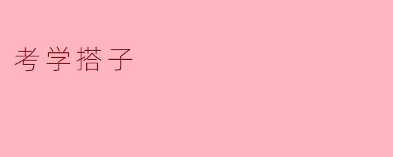 考学搭子