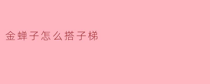 金蝉子怎么搭子梯