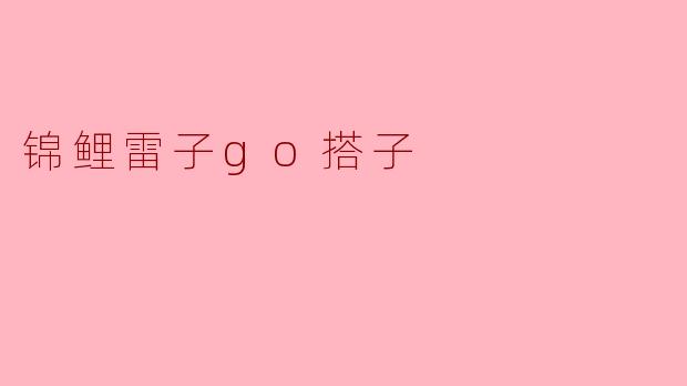 锦鲤雷子go搭子