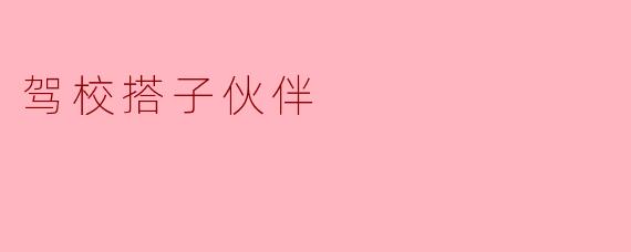 驾校搭子伙伴