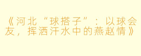 《河北“球搭子”：以球会友，挥洒汗水中的燕赵情》