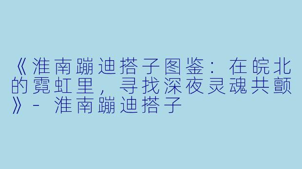 《淮南蹦迪搭子图鉴：在皖北的霓虹里，寻找深夜灵魂共颤》-淮南蹦迪搭子