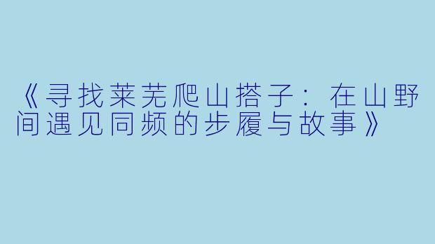 《寻找莱芜爬山搭子：在山野间遇见同频的步履与故事》