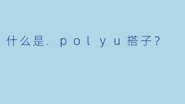 什么是.polyu搭子？