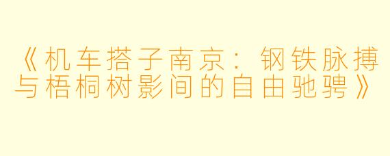 《机车搭子南京：钢铁脉搏与梧桐树影间的自由驰骋》