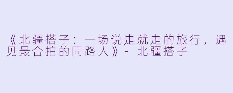 《北疆搭子：一场说走就走的旅行，遇见最合拍的同路人》-北疆搭子