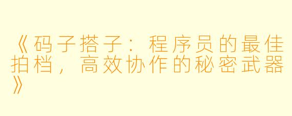 《码子搭子：程序员的最佳拍档，高效协作的秘密武器》