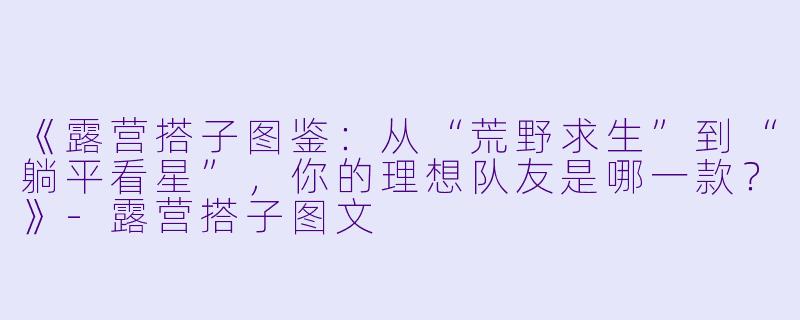 《露营搭子图鉴：从“荒野求生”到“躺平看星”，你的理想队友是哪一款？》-露营搭子图文
