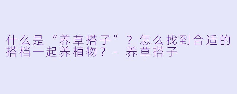 什么是“养草搭子”？怎么找到合适的搭档一起养植物？-养草搭子