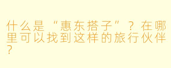 什么是“惠东搭子”？在哪里可以找到这样的旅行伙伴？