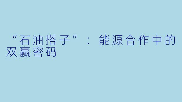 “石油搭子”:能源合作中的双赢密码