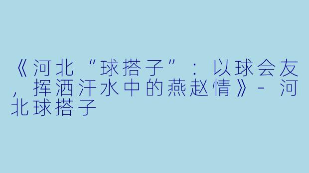 《河北“球搭子”：以球会友，挥洒汗水中的燕赵情》-河北球搭子