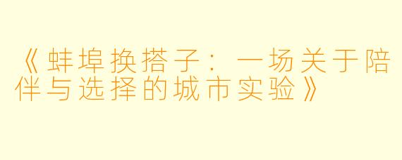 《蚌埠换搭子：一场关于陪伴与选择的城市实验》