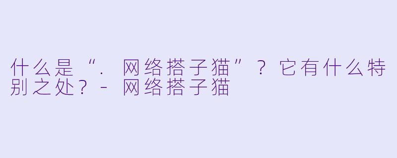 什么是“.网络搭子猫”？它有什么特别之处？-网络搭子猫