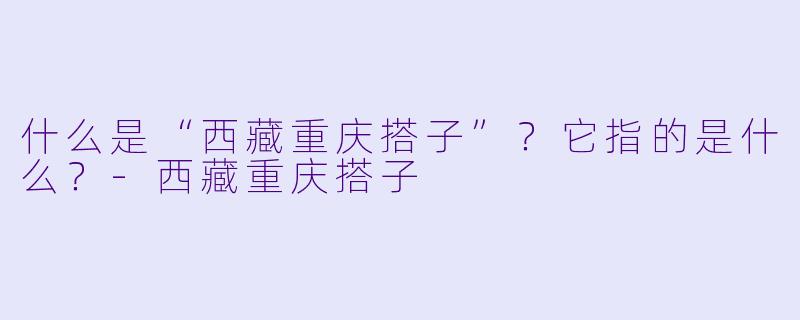 什么是“西藏重庆搭子”？它指的是什么？-西藏重庆搭子