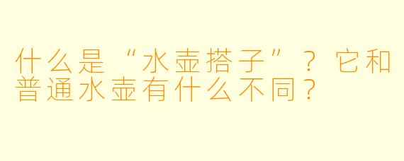 什么是“水壶搭子”？它和普通水壶有什么不同？