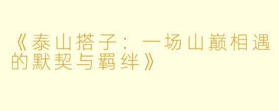 《泰山搭子：一场山巅相遇的默契与羁绊》