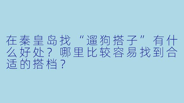 在秦皇岛找“遛狗搭子”有什么好处？哪里比较容易找到合适的搭档？