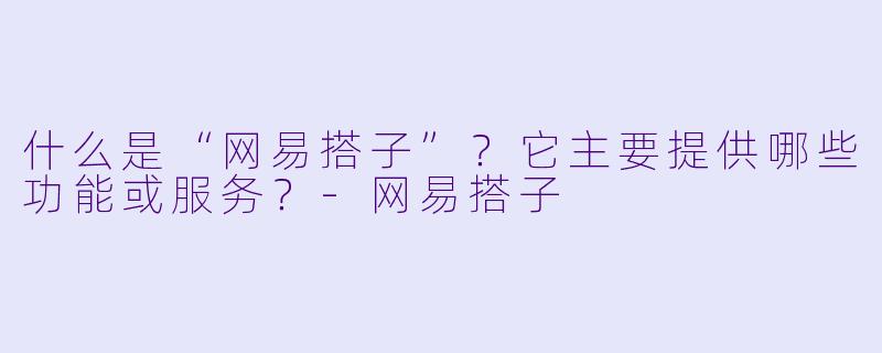什么是“网易搭子”？它主要提供哪些功能或服务？