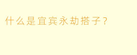 什么是宜宾永劫搭子？
