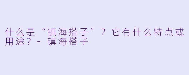 什么是“镇海搭子”？它有什么特点或用途？-镇海搭子
