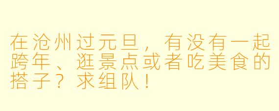 在沧州过元旦，有没有一起跨年、逛景点或者吃美食的搭子？求组队！