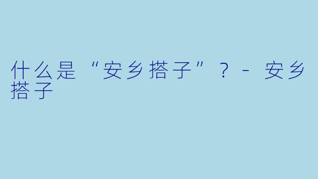 什么是“安乡搭子”？