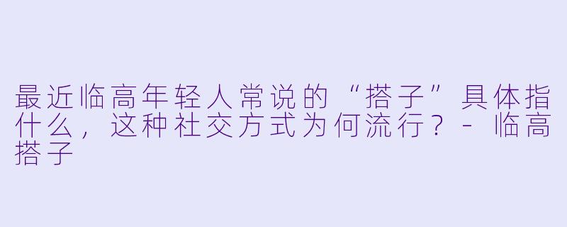 最近临高年轻人常说的“搭子”具体指什么，这种社交方式为何流行？-临高搭子