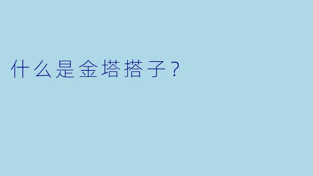 什么是金塔搭子？