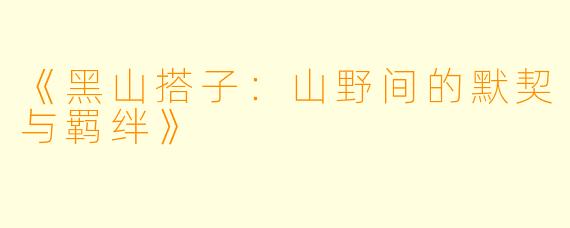 《黑山搭子：山野间的默契与羁绊》