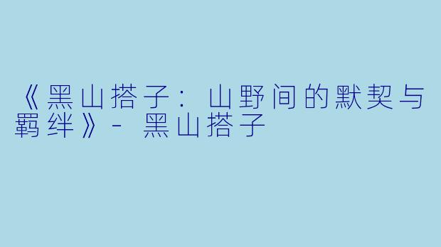 《黑山搭子:山野间的默契与羁绊》