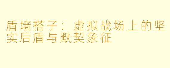 盾墙搭子：虚拟战场上的坚实后盾与默契象征