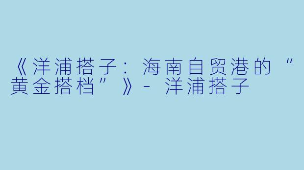 《洋浦搭子：海南自贸港的“黄金搭档”》-洋浦搭子