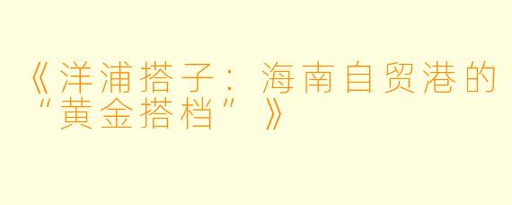 《洋浦搭子：海南自贸港的“黄金搭档”》