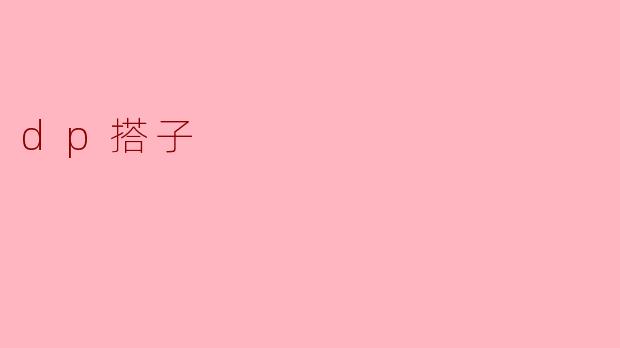 dp搭子