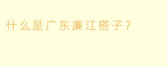 什么是广东廉江搭子？