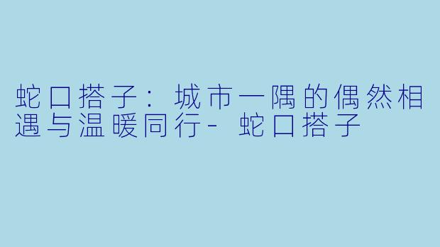 蛇口搭子：城市一隅的偶然相遇与温暖同行-蛇口搭子