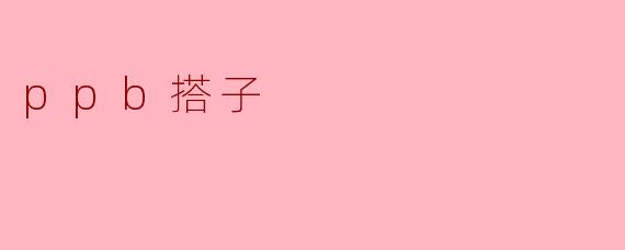 ppb搭子