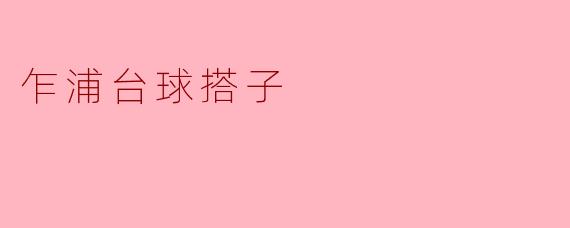 乍浦台球搭子