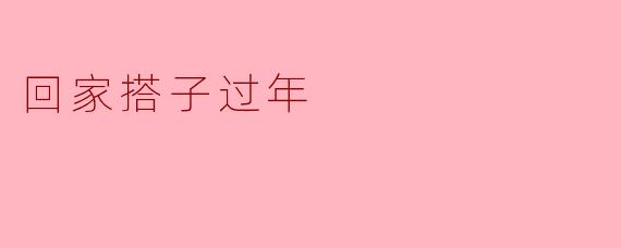 回家搭子过年
