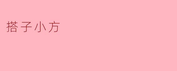 搭子小方