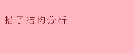 搭子结构分析
